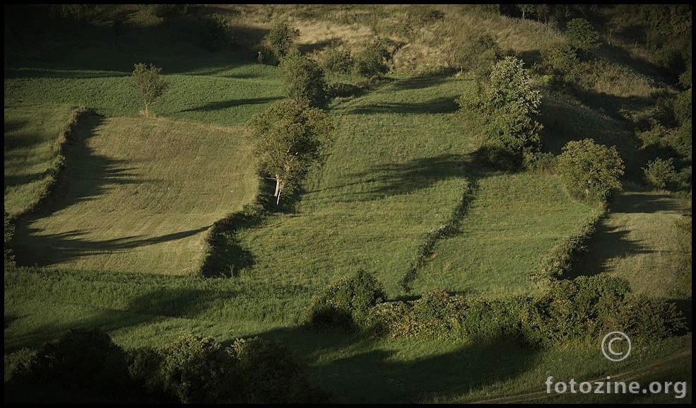 ... shadow on the meadow...