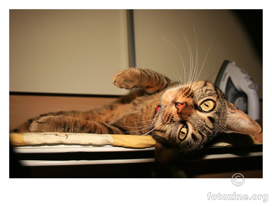 surfing on the iron board:)