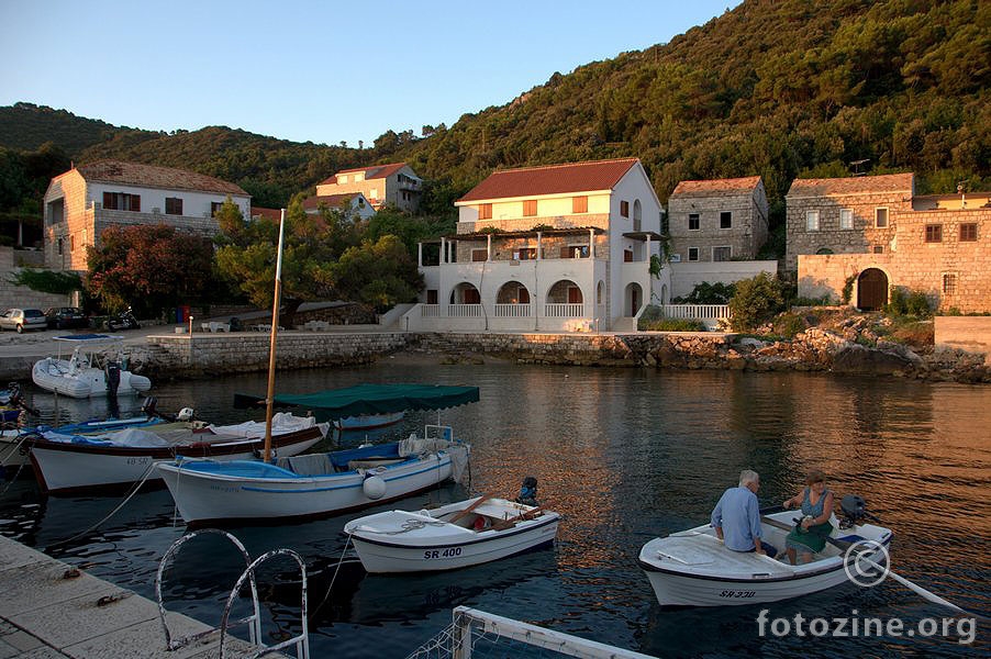 Kozarica, Mljet