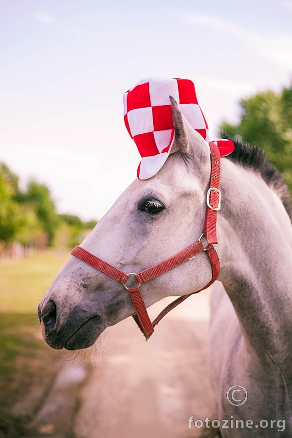 Navijačko ludilo #CRO 