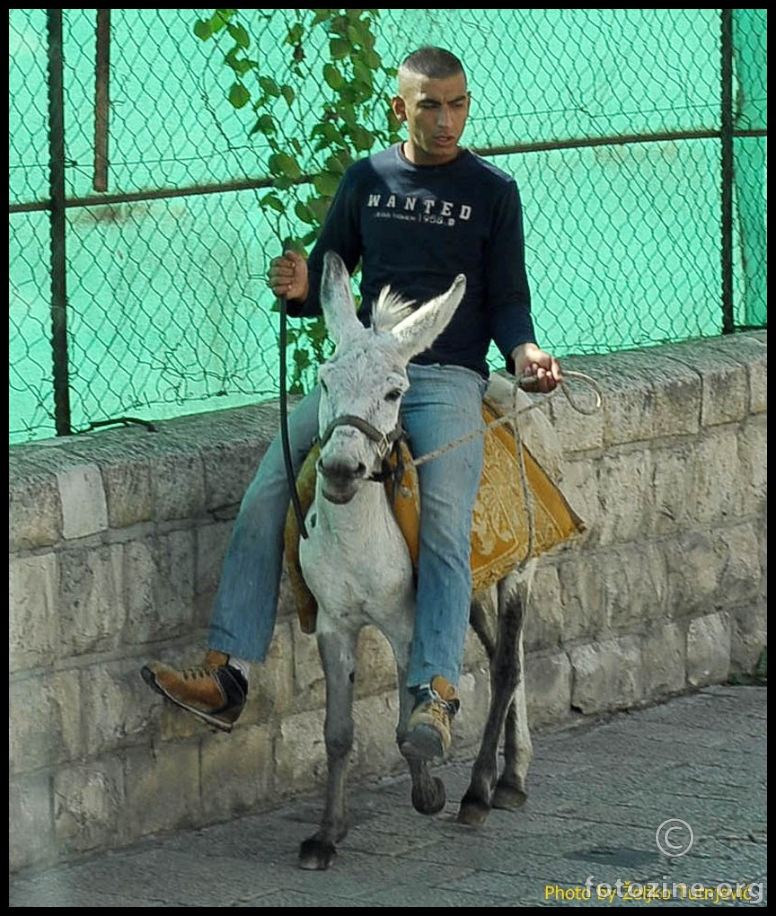 JERUZALEMSKI ŠARMER NA KABRIOLETU BY ŽT