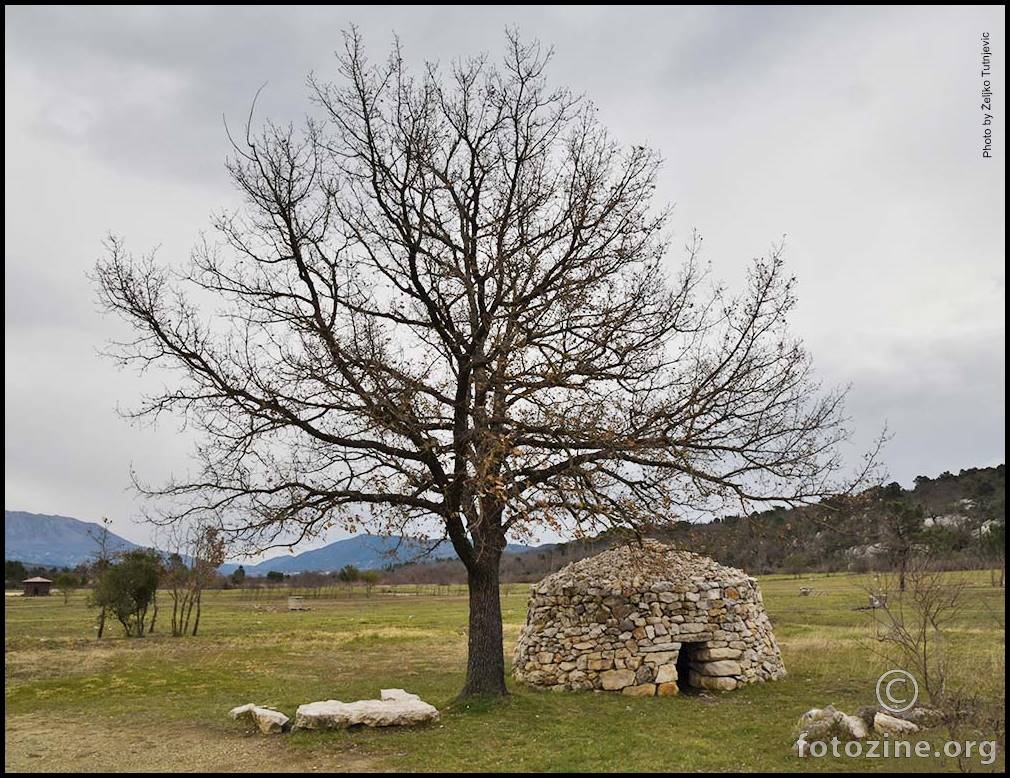 KONAVOSKA KUĆARICA, TRADICIJE ČUVARICA BY ŽT