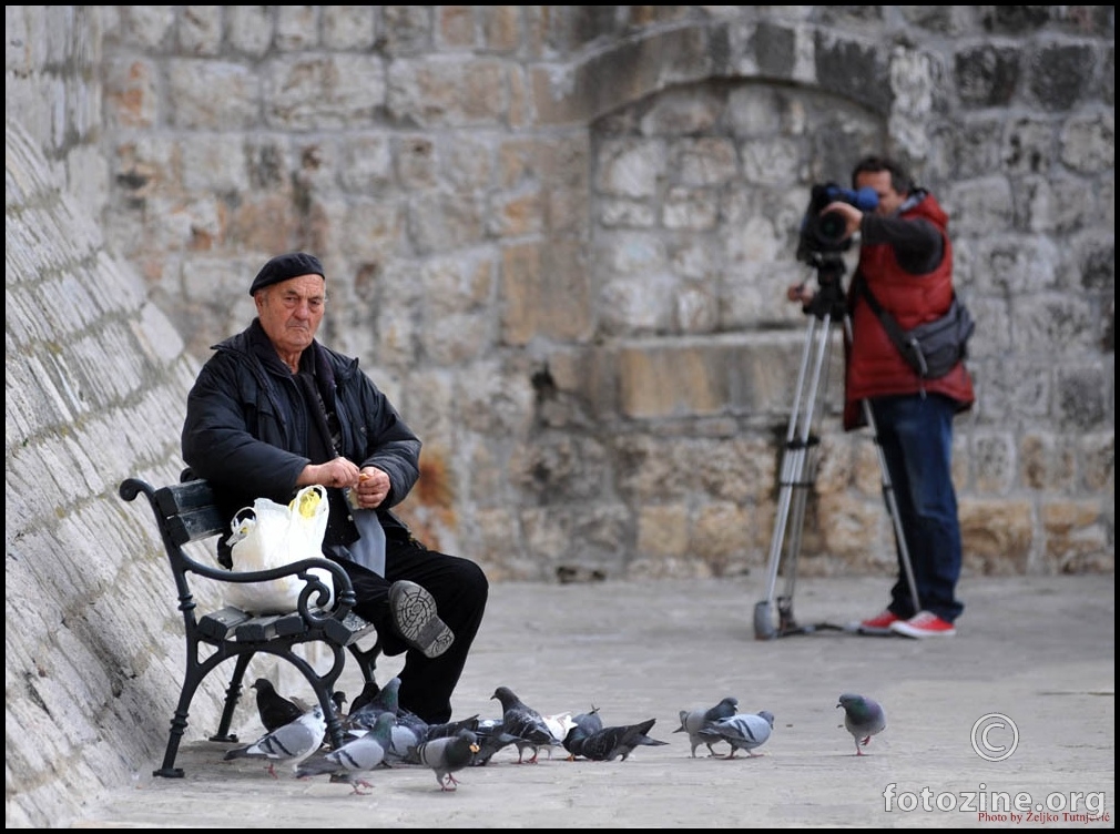 MAČIĆ KOJEG SE GOLUBOVI NE BOJE - BY ŽT