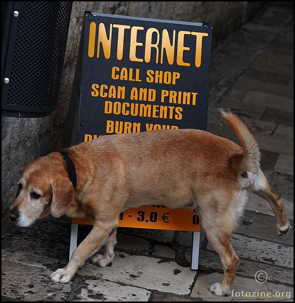 POPIŠAM SE NA TAJ VAŠ INTERNET - BY ŽT