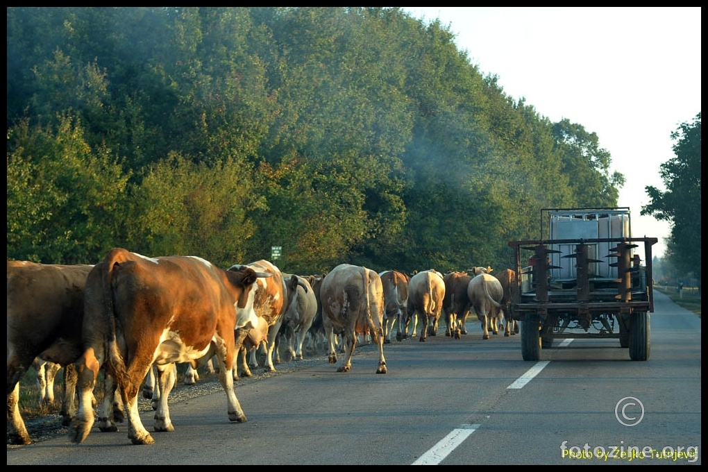 TRAKTORIST  JE MODERNI COWBOY BY ŽT.JPG