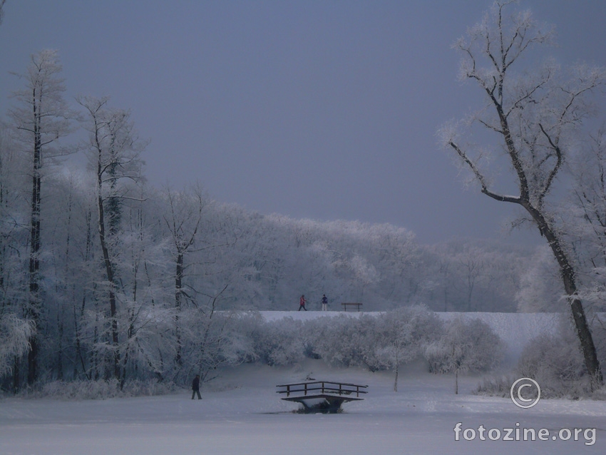 Maksimir