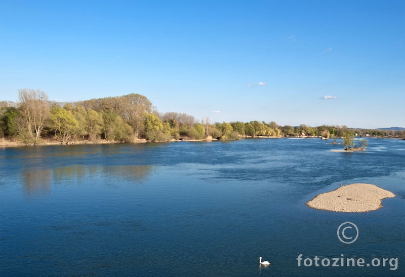 labud i njegova Drava