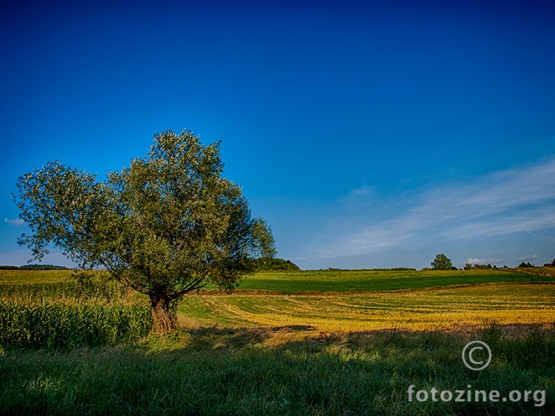 foto-crtica iz Zagorja :-)