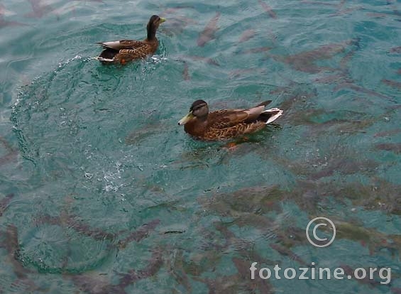 Plitvice