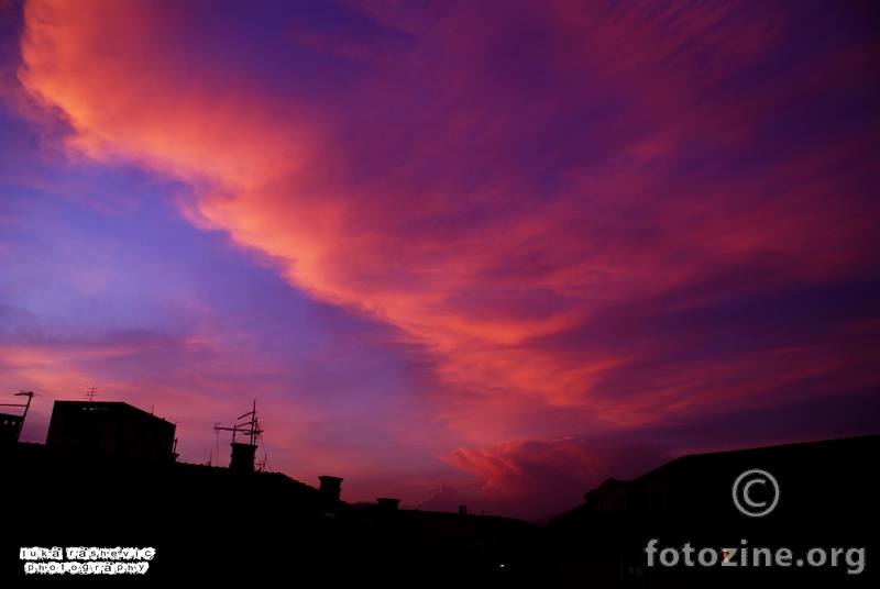 neighborhood in pink sunset...