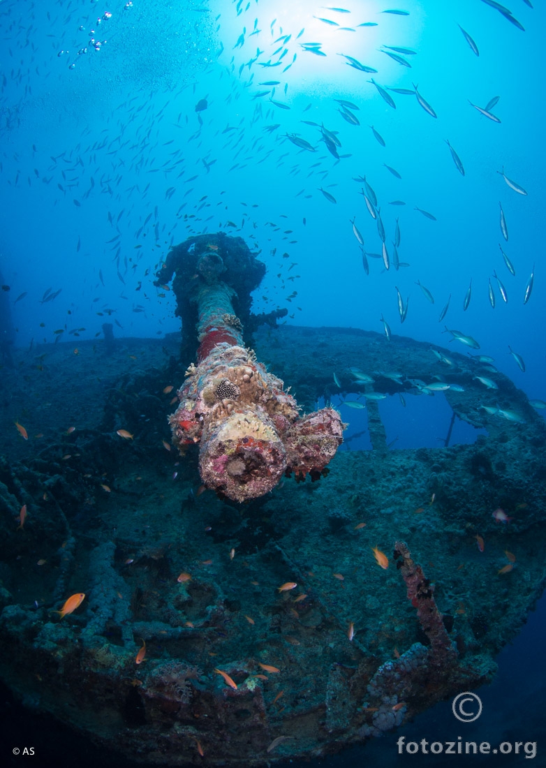 SS Thistlegorm