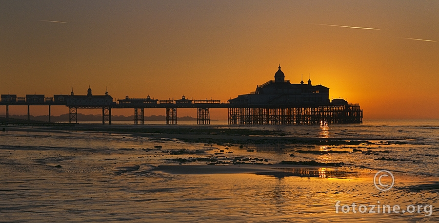 Eastbourne Pear