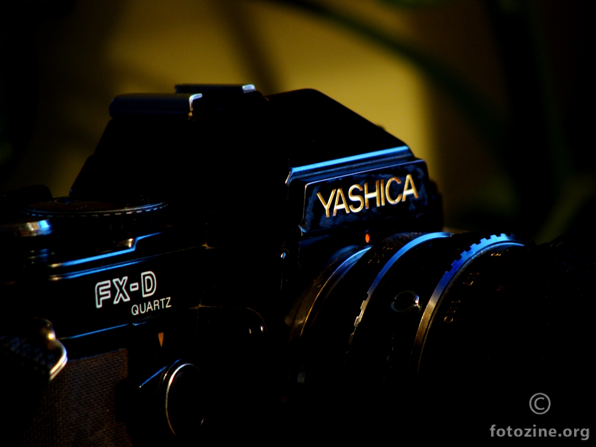 YASHICA