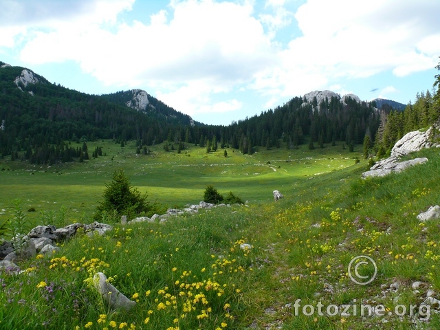 Veliki Lubenovac