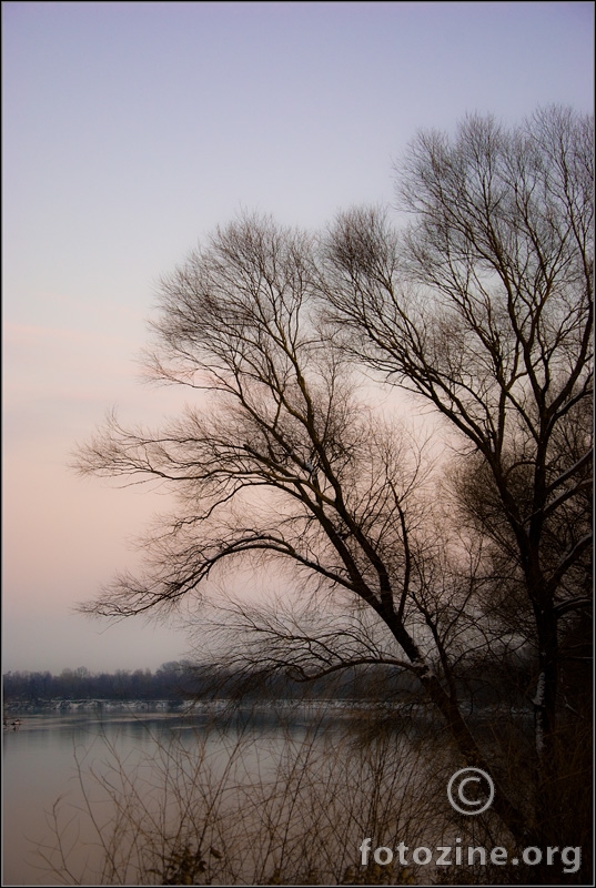 Rainbow tree