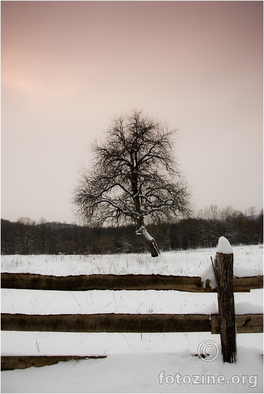 Alone in the snow