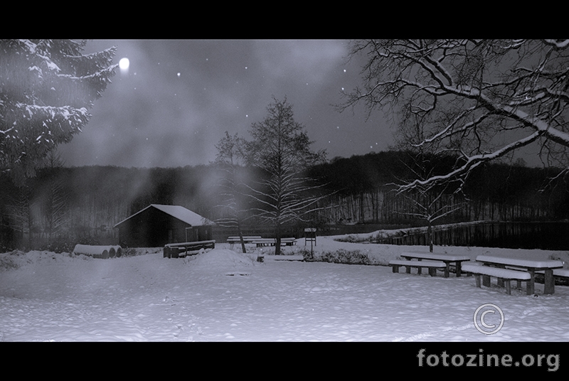 Winter night