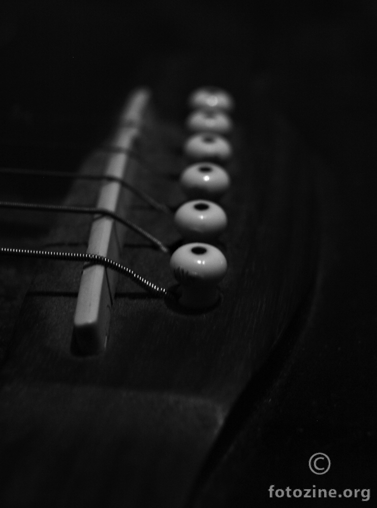 GUITAR DETAIL