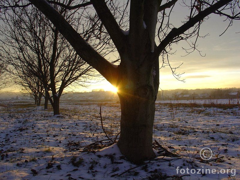 Sunsoaked Snow