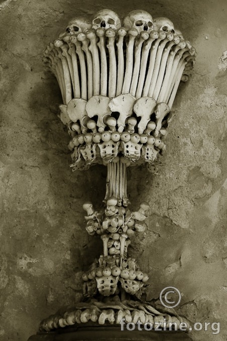 Bone Chalice