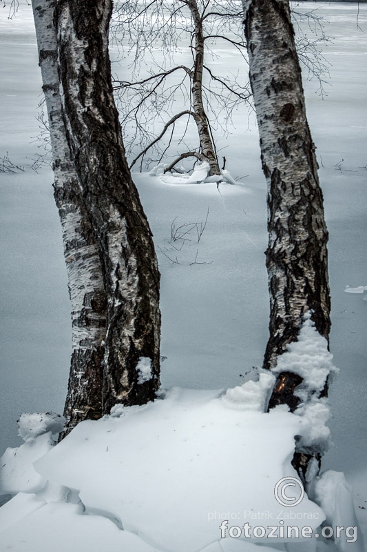 Breaking the Ice...