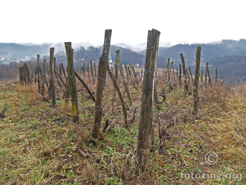 Stare hiže i stari vinogradi