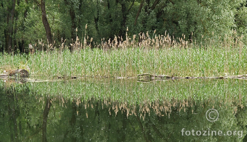 Kopačke refleksije