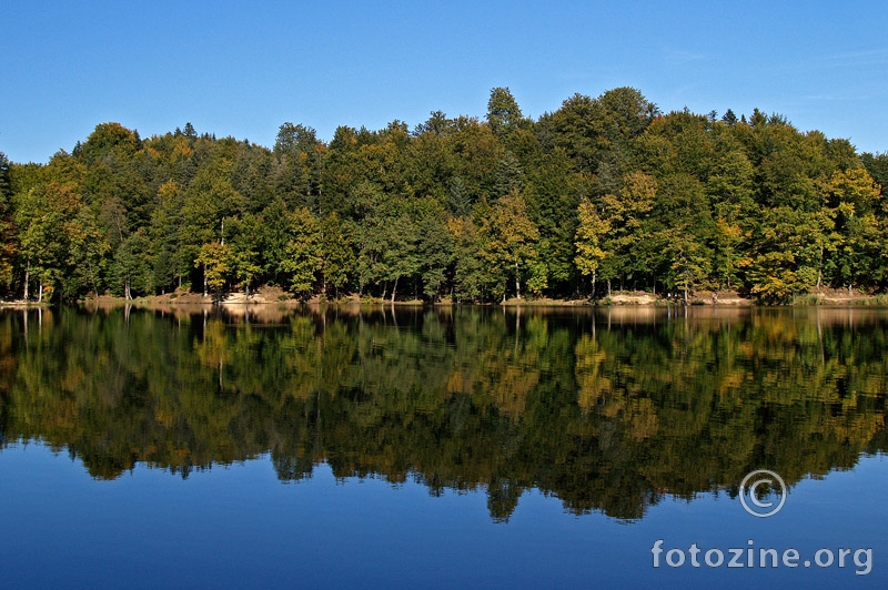 Refleksija