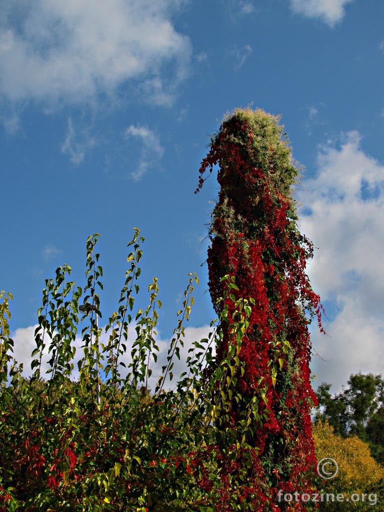 obelisk jeseni