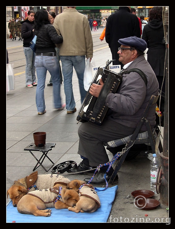 Harmonikas i psi