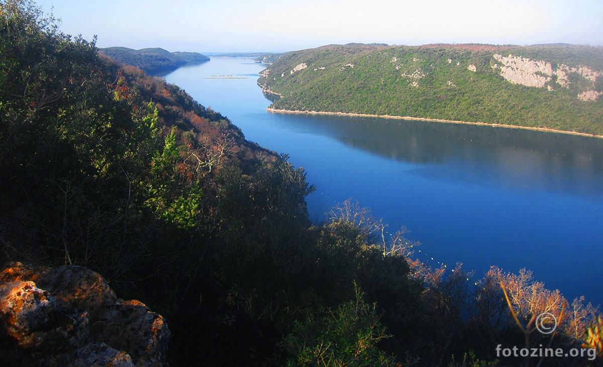 Limski kanal