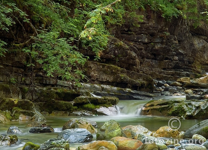 Untertauern wild park