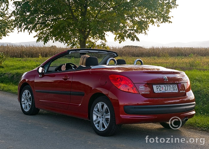 Peugeot 207cc 4