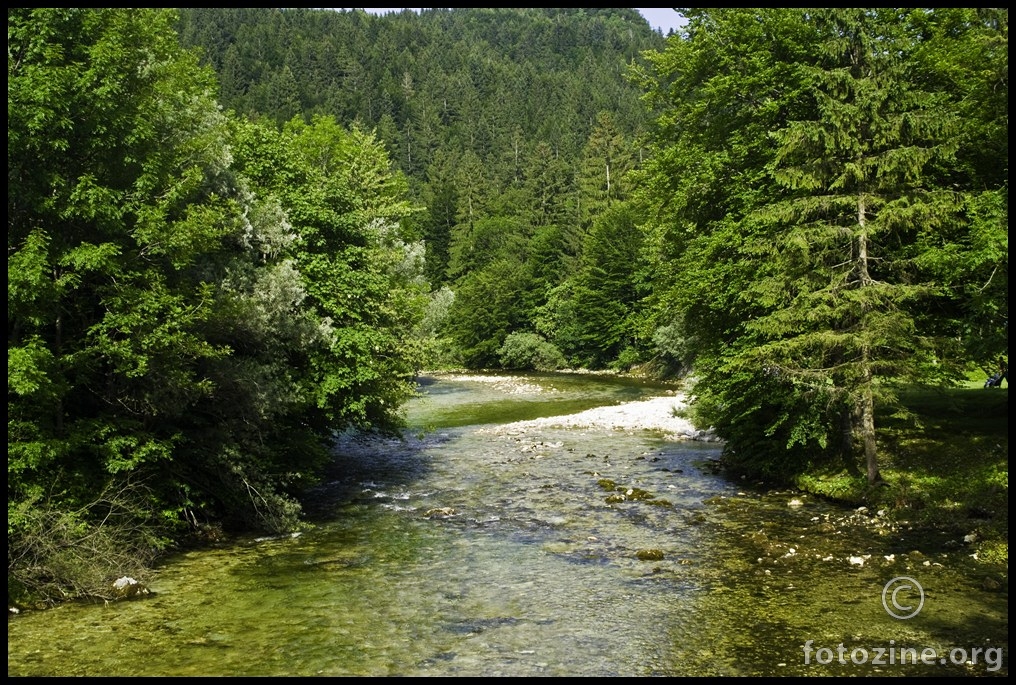 Sava Bohinjka