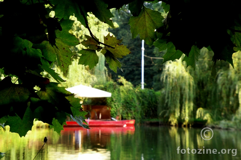 Maksimir V