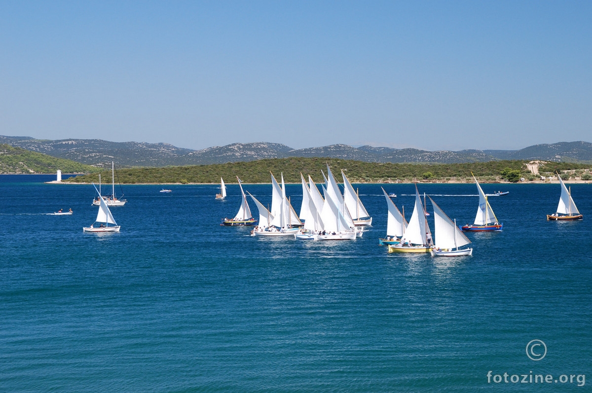 Betinska regata "Latinsko jidro"