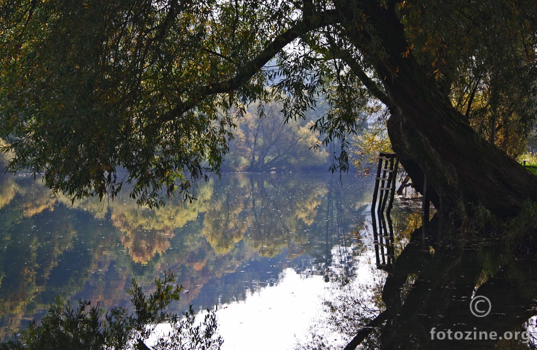 lijepa dobra