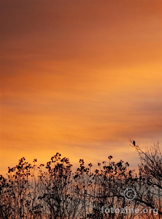 Guarding the Sunset