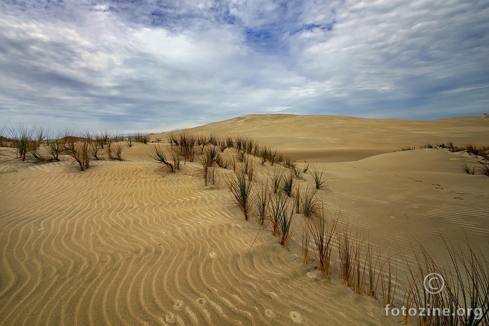 Mangawhai Dunes