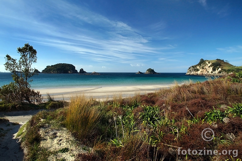 Hahei Beach