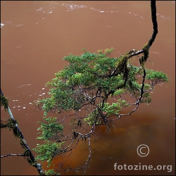 Paparoa River