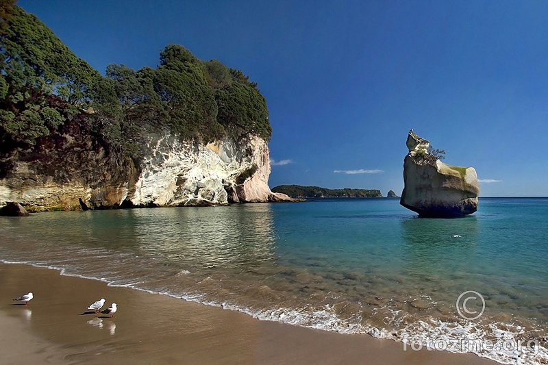 Cathedral Cove