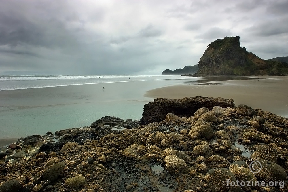 Piha Beach