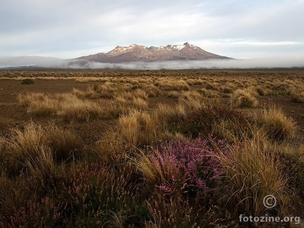 Mt Ruapehu