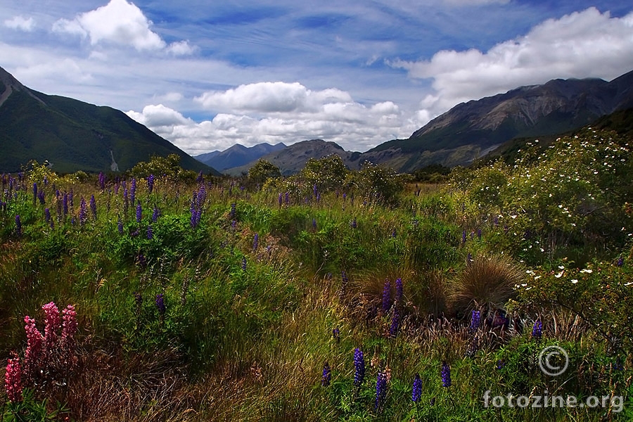 Summer in Southern Alps