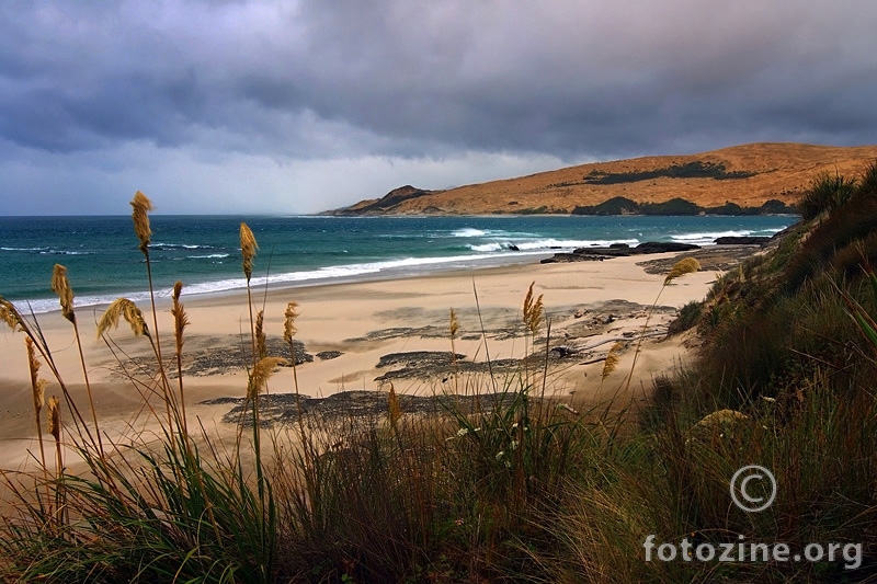 Hokianga