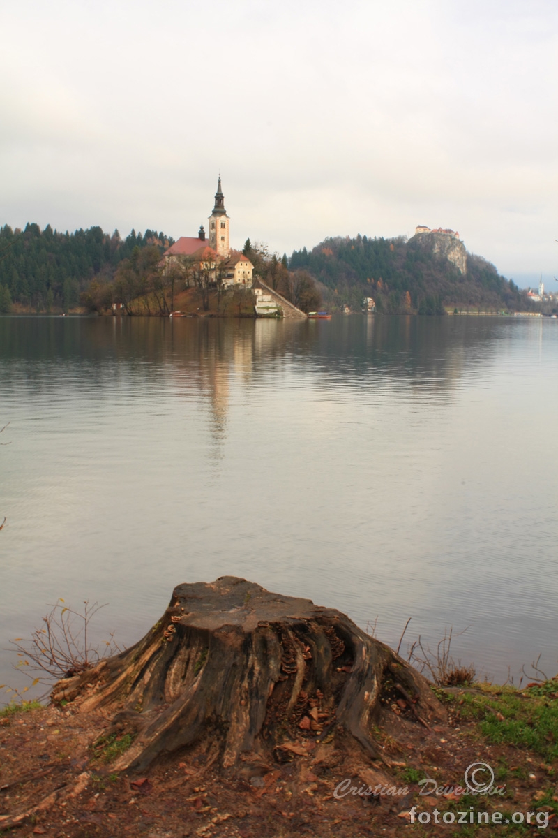 Bled