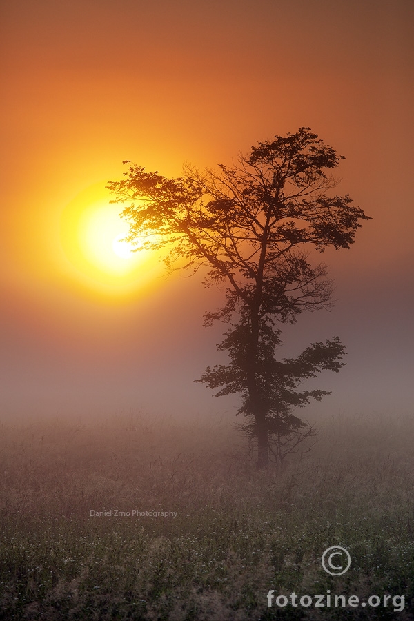 Touching the Sun