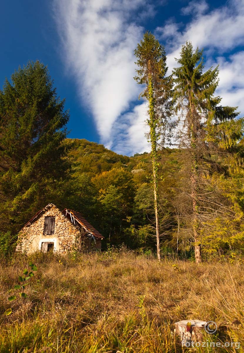 napuštena