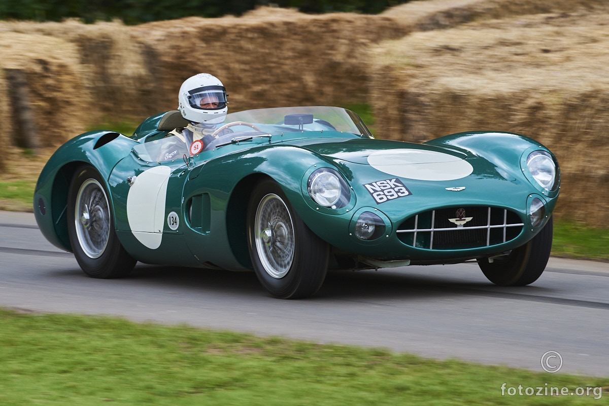 Aston Martin DBR1/4